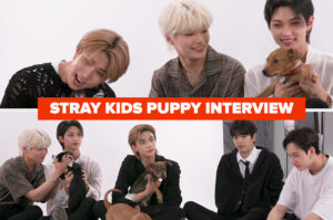 The Stray Kids Puppy Interview Is Finally Live, And Now My Life Is Complete