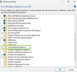 A box in Windows 11 to turn off Windows features