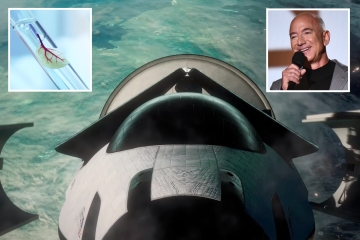 Inside Jeff Bezos' Orbital Reef 'space hotel' as new video reveals Earth views