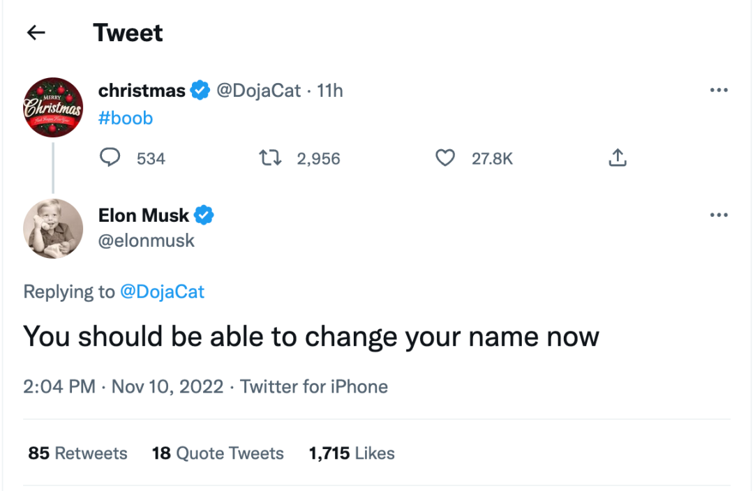 Doja Cat Twitter name change fail