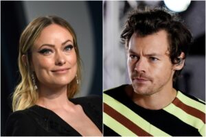 Harry Styles and Olivia Wilde reportedly split after 2 years