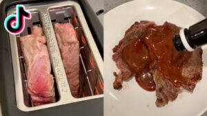 TikTokers warned against trying bizarre ‘toaster steak’ hack