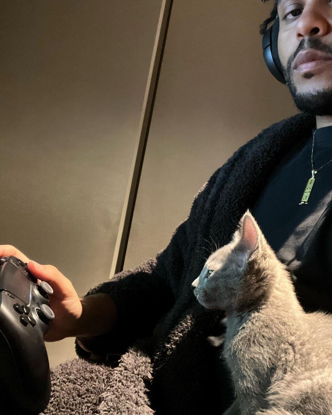 The Weeknd cat sitting