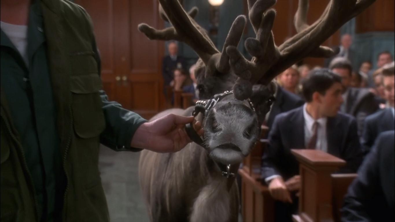A reindeer in a court room in Miracle on 34th Street