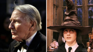 Actor Voiced Sorting Hat in Harry Potter