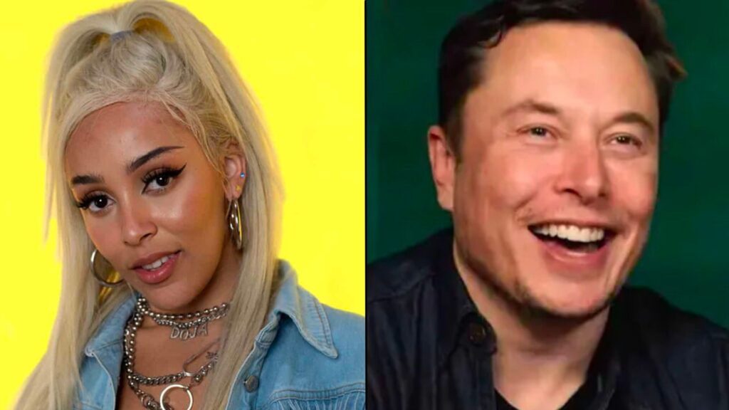 Doja Cat begs Elon Musk to let her change Christmas “mistake” on Twitter
