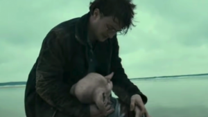 'Harry Potter' Fans Asked To Stop Destroying Beach To Honor Dobby