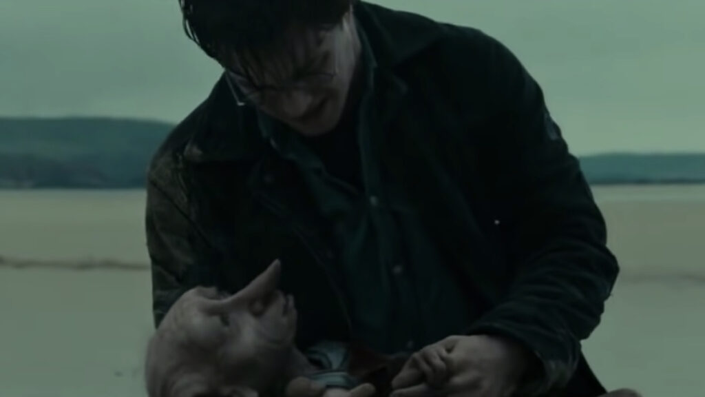 Harry Potter Fans Asked to Stop Leaving Socks at Dobby's Grave
