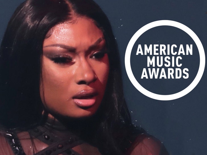 Megan Thee Stallion Gets Restraining Order Against Label Over AMAs