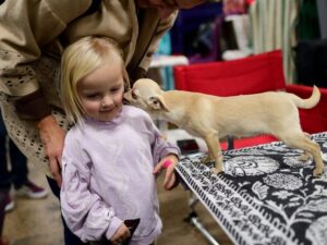 National Dog Show Presented By Purina, Behind The Scenes Photos