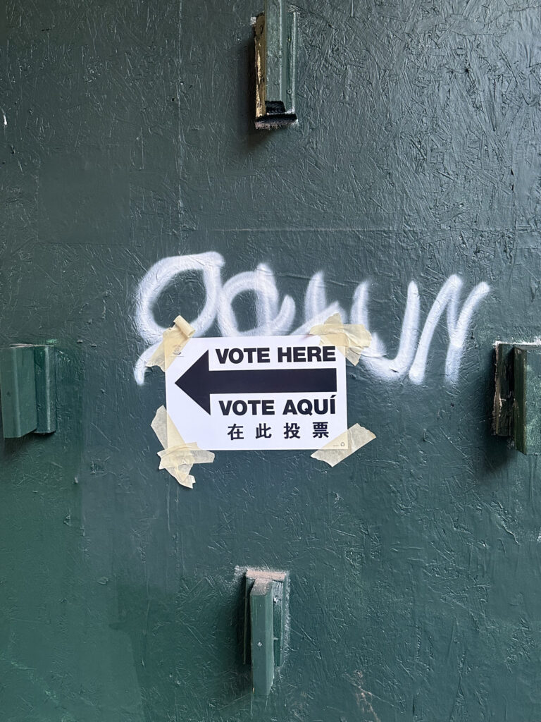 New Yorkers Say What Drove Them to the Polls