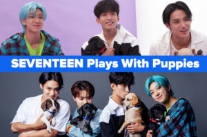 Seventeen Played With Puppies While Answering Fan Questions, And It Was So Wholesome