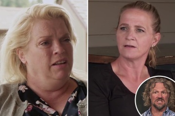 Sister Wives' Janelle Brown begs Christine to 'remarry' after nasty split from Kody