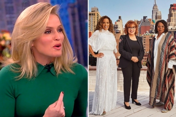 The View's Sara Haines blames co-hosts as the ‘reason’ she struggled live on air