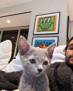 The Weeknd cat sitting