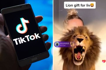 All the tiktok gifts users can send to their top creators – including rare Lion