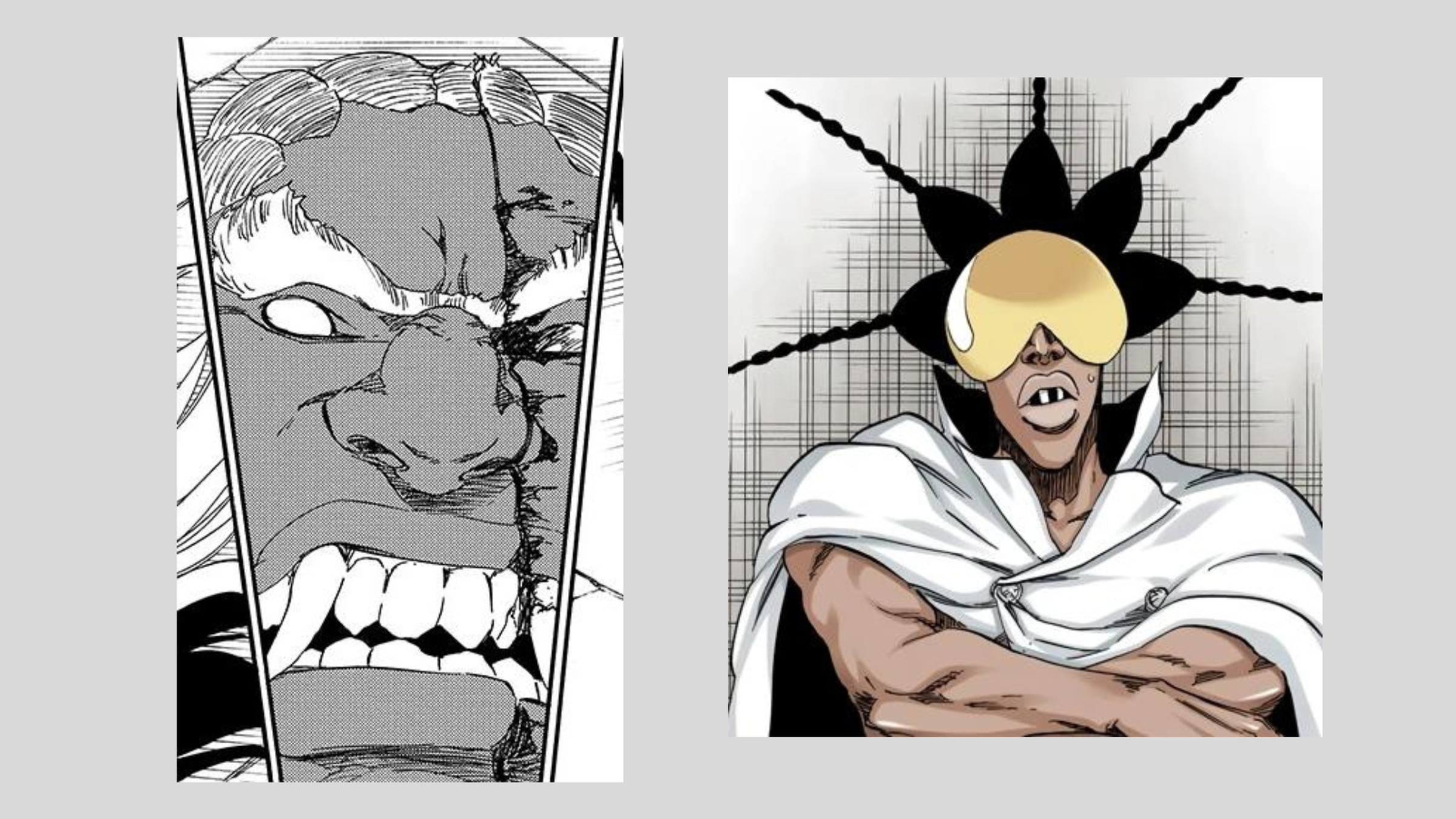 Composite image of two characters from the manga Bleach including Left: Jerome Guizbatt, a montrous, darkskinned man with ape-like features who dies almost immediately upon his reveal. Right: NaNaNa Najahkoop, another darkskinned man with braids sticking straight out of his head and black and white checkered teeth.