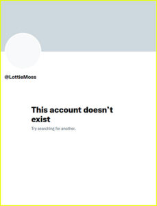 Lottie Moss deletes Twitter