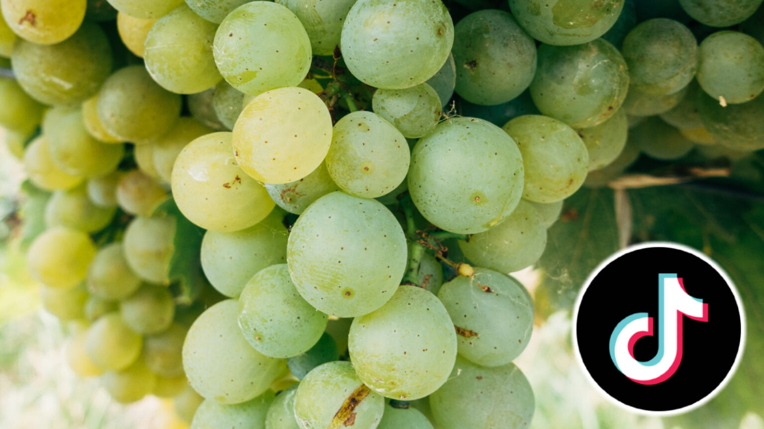 What does ‘Twelve Grapes’ mean on TikTok? New Year’s tradition goes