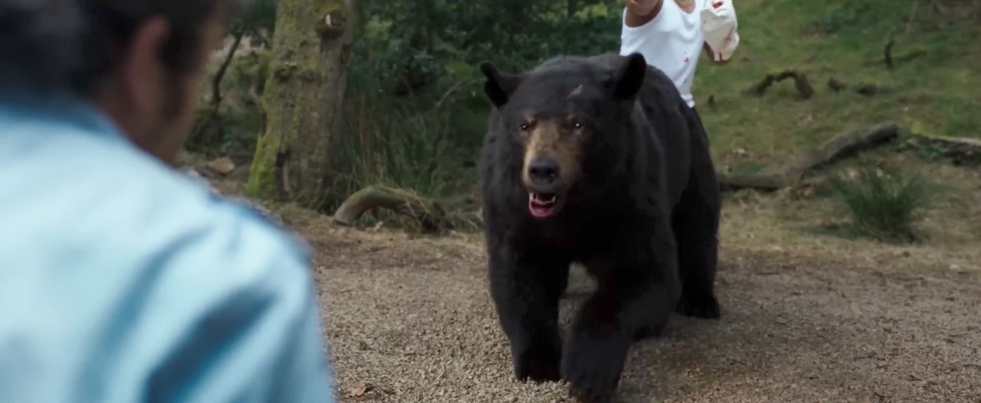 First trailer for Cocaine Bear arrives online
