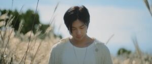 RM's Wild Flower: Music Video, Lyrics in English, Meaning