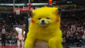Viral ‘Pikachu dog’ resurfaces at NBA games despite owner’s fine