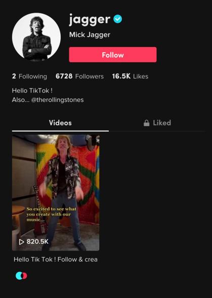 TikTok went wild for the music icon's appearance on the app.