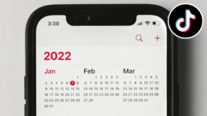 How to do viral 2022 bingo card TikTok trend