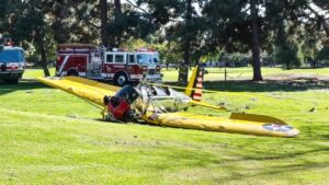 Harrison Ford's plane on the golf course in 2015