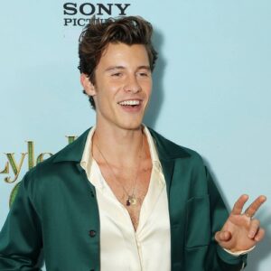 Shawn Mendes still struggles with 'insecurities' over singing - Music News