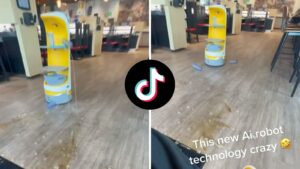Viral video of robot server spilling drinks on the floor sparks debate