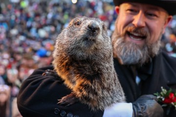 Punxsutawney Phil to predict arrival of spring on Groundhog Day