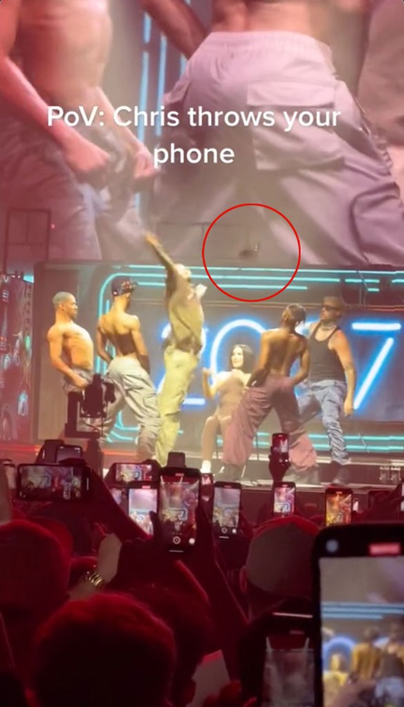 Chris Brown throws fans phone
