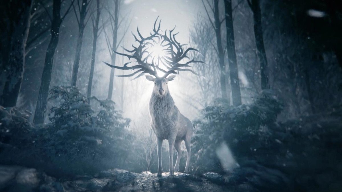 The white stag, a living amplifier, stands in the forest in Shadow and Bone. The white stag is one of Morozova's amplifiers.