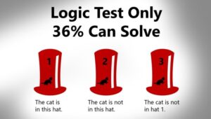 64 Percent Of People Cant Solve This Simple Cat In The Hat Logic Test