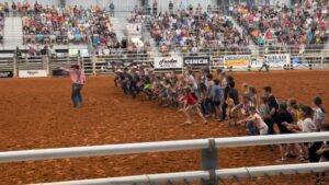 kids chasing rodeo bulls at Arcadia, Florida rodeo