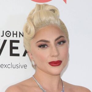 Lady Gaga wants to live 'a life of solitude' - Music News
