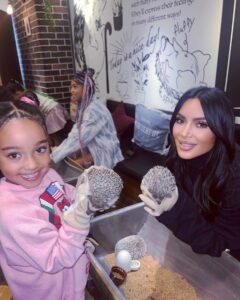 Kim Kardashian has been praised as 'relatable' after taking North and Chicago to a hedgehog cafe