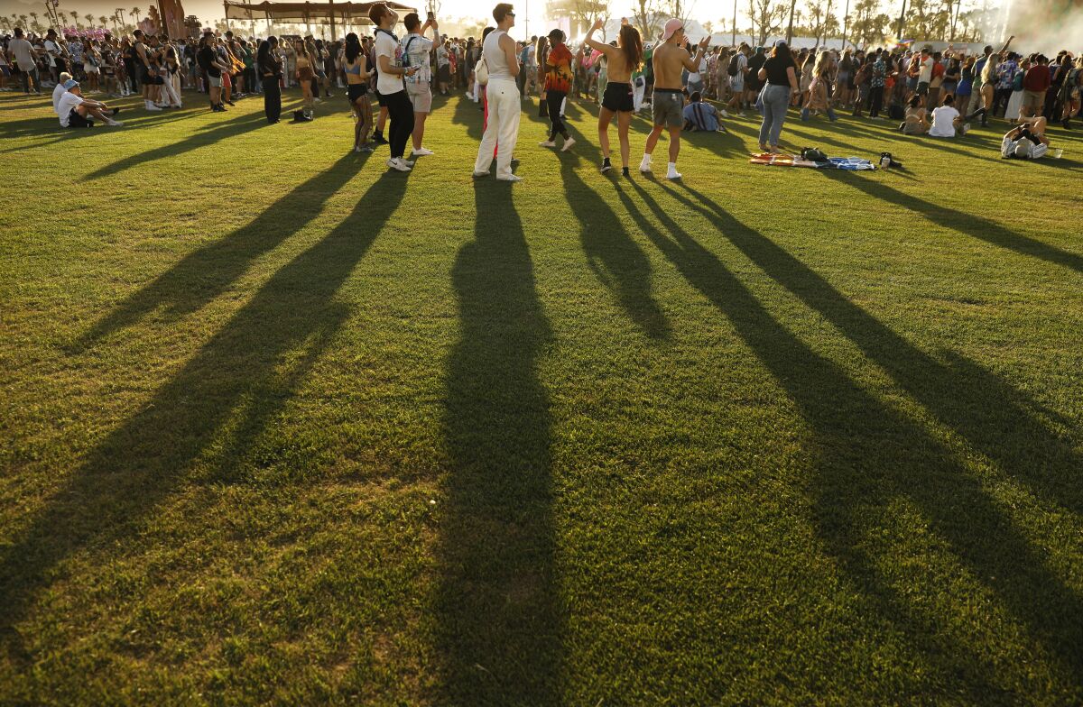 Long shadows are cast on the grass by festival-goers at Coachella 2023
