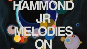 Albert Hammond Jr Melodies on Hiatus