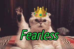 Be "Fearless" And Take This Quiz To Learn Which Of Taylor Swift's Cats You Are
