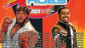 jpegmafia danny brown 2023 scaring the hoes us tour poster