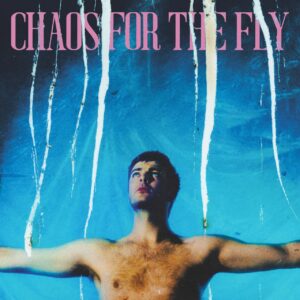 Grian Chatten: Chaos for the Fly