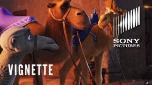THE STAR Vignette - Meet the Camels