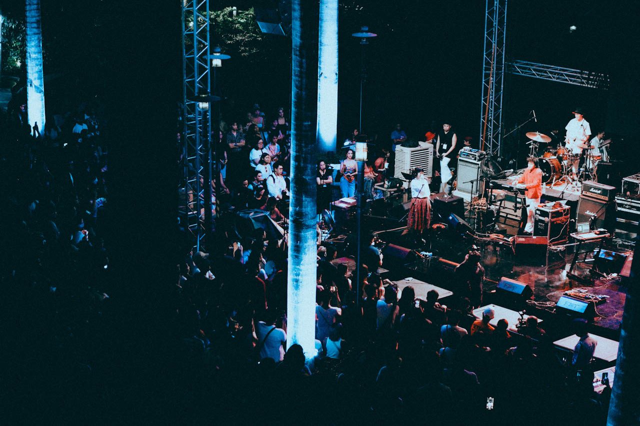 Concert, Crowd, Person