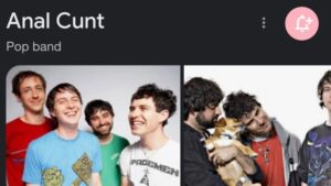 Google Thinks Animal Collective is Anal Cunt