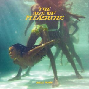 The album art for Janelle Mones The Age of Pleasure