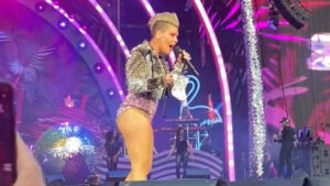 P!NK Gets Ashes Thrown at Her During Concert