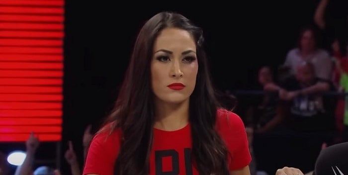 Brie Bella in a fight with her sister