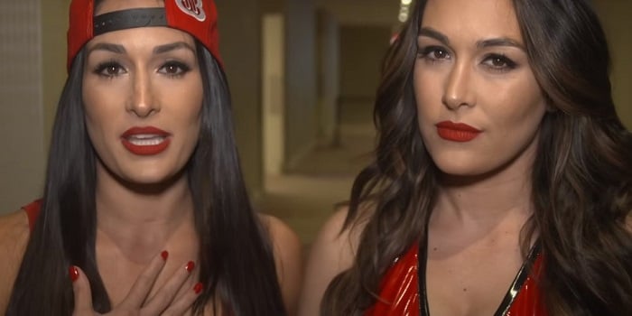 The Bella twins on their return to rumble